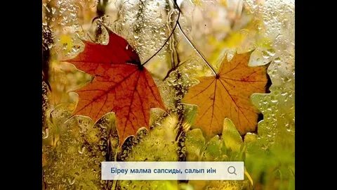 Самара секс терапиясы