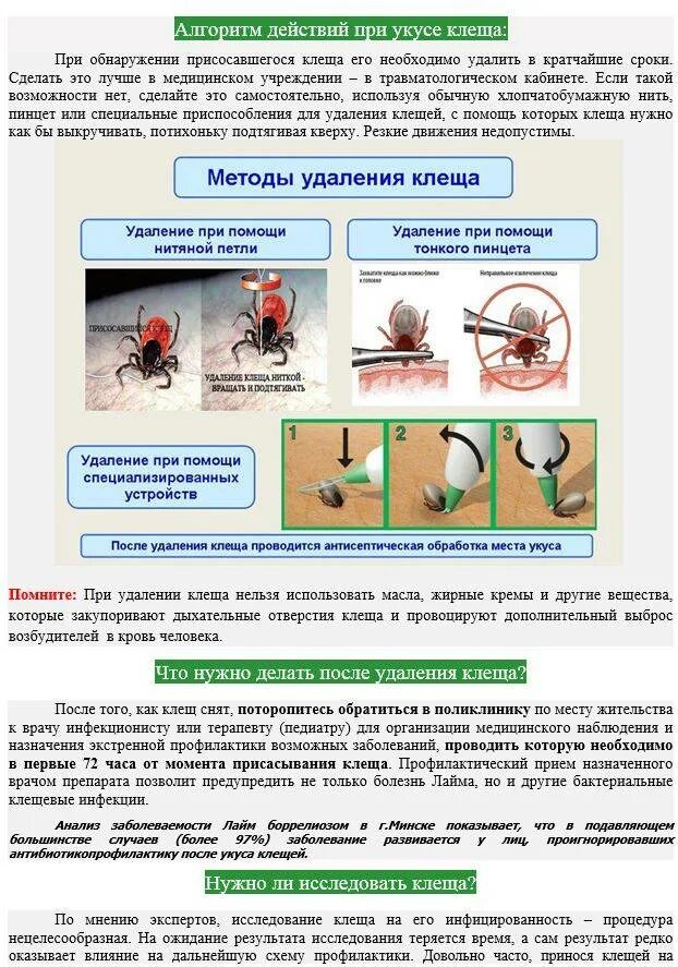 Чем обработать место после клеща. Алгоритм действий при присасывании клеща. Алгоритм действий при укусе клеща. Оказание первой помощи при укусе клеща. Алгоритм оказания первой медицинской помощи при укусе клеща.