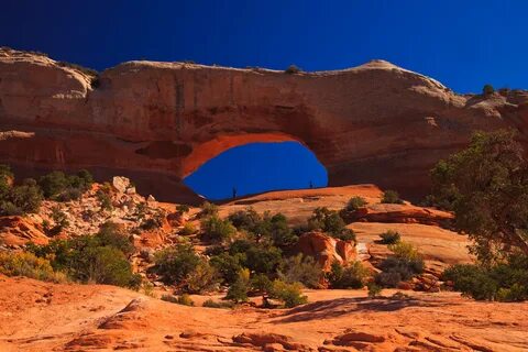 S arch