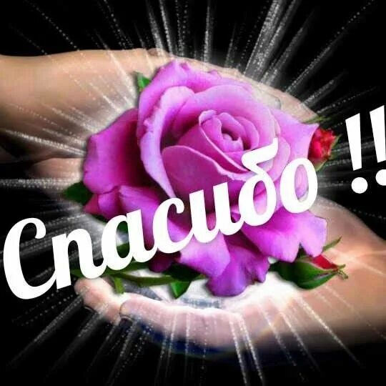 Спасибо милая и вам. Леночка спасибо большое. спасибо огромное, леночка. спасибо анюта. спасибо милая леночка.