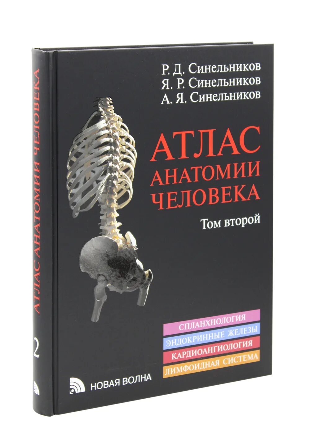 Д. Синельников атлас анатомии человека 1 том миология. Синельников атлас анатомии человека 4 тома. Р д синельников анатомия человека. Р д синельников анатомия человека.