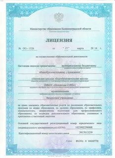Лицензирование школы