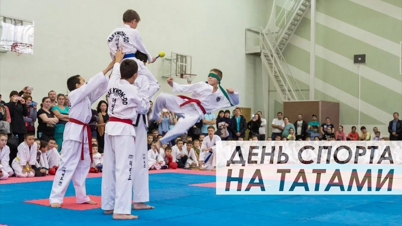 Торнадо тхэквондо. Тхэквондо в набережных челнах. Тхэквондо лобня. Тхэквондо кадеты. Набережные челны тхэквондо втф.
