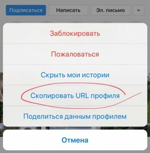 Как скопировать ссылку профиля в инстаграм. Скопировать ссылку в инстаграме. Скопировать свою ссылку в инстаграме. Скопировать ссылку в инстаграме своего профиля. Скопировать ссылку на свой Инстаграм.