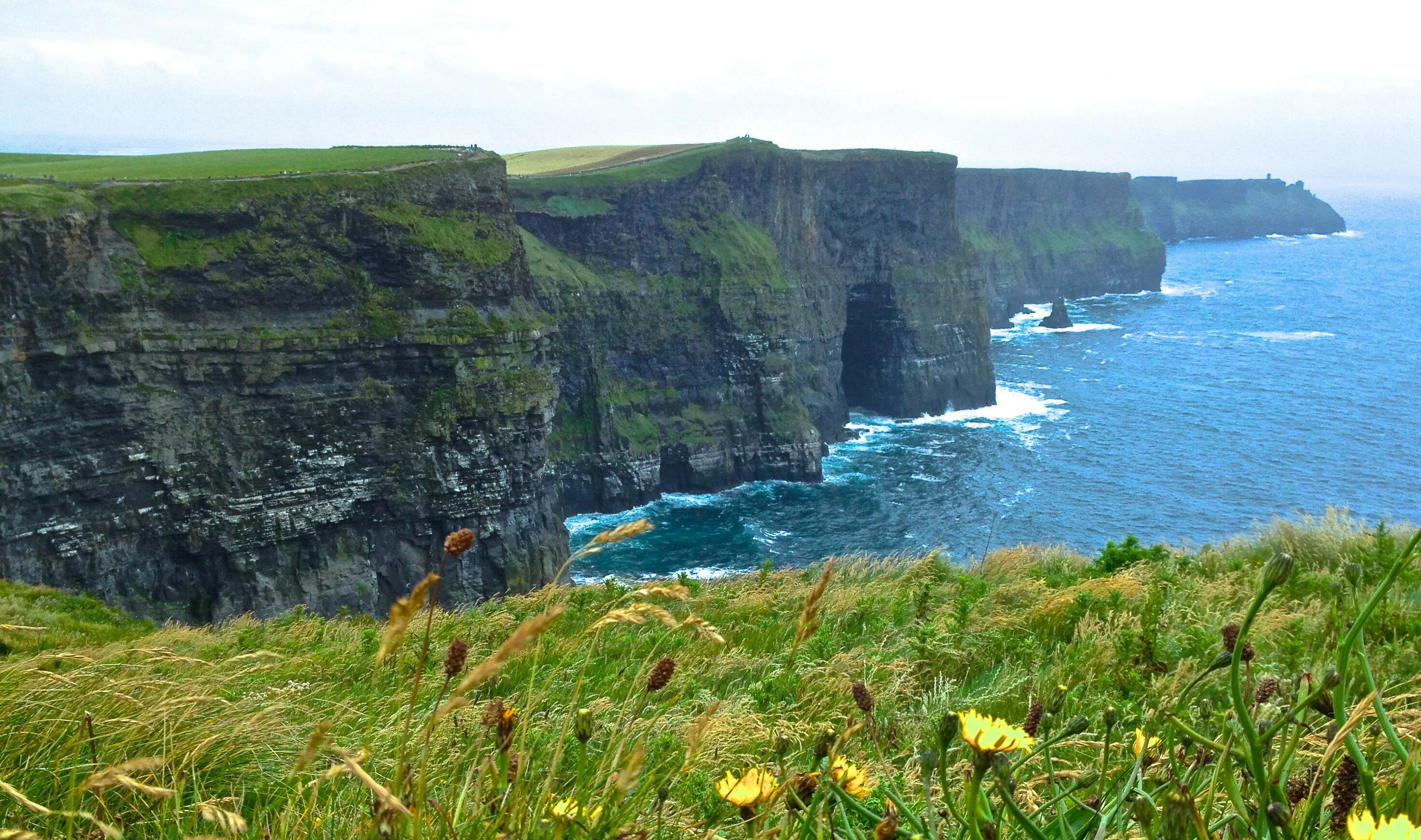 Клиф какого. Cliffs of Moher Ирландия. Утёсы мохер Ирландия шторм. Эбботс Клиф. . Утесы мохер зимой.