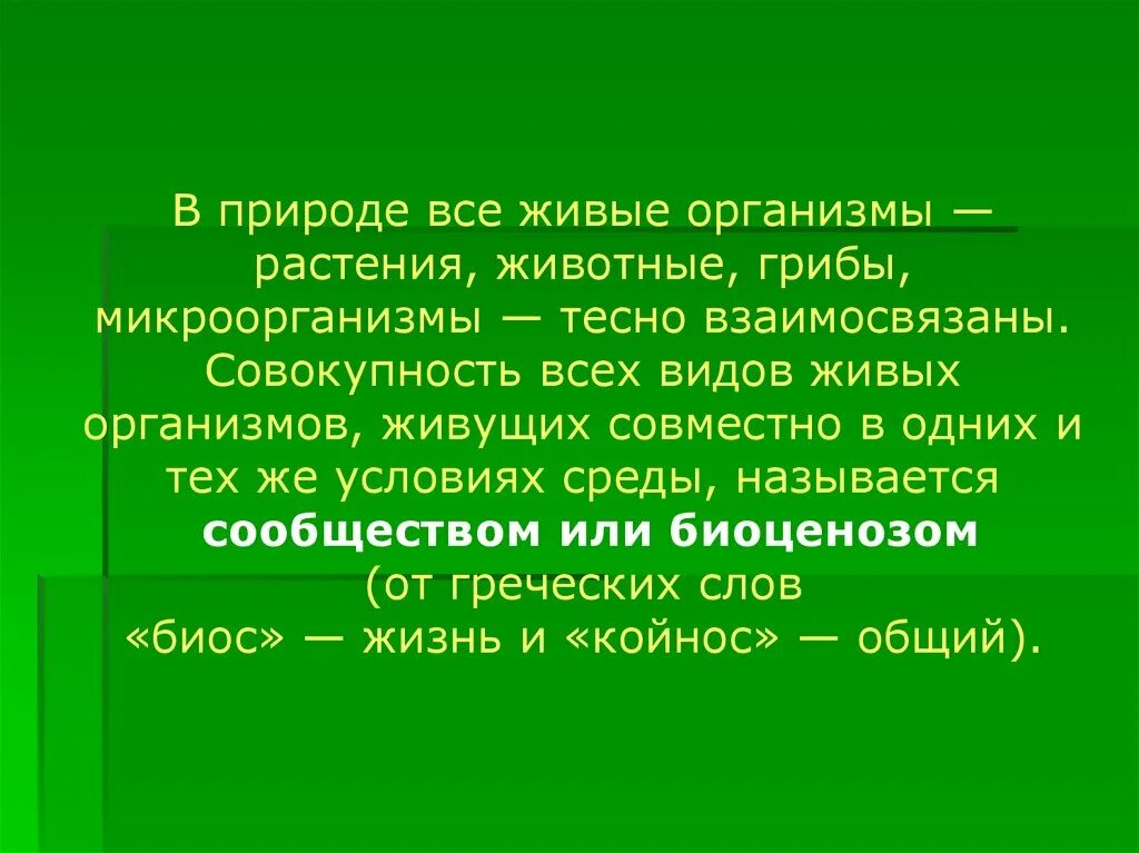 Взаимо связано. Все живые организмы взаимо связано. Совокупность всех растительных организмов называют. Вывод про все живые организмы. Почему в природе все взаимосвязано.