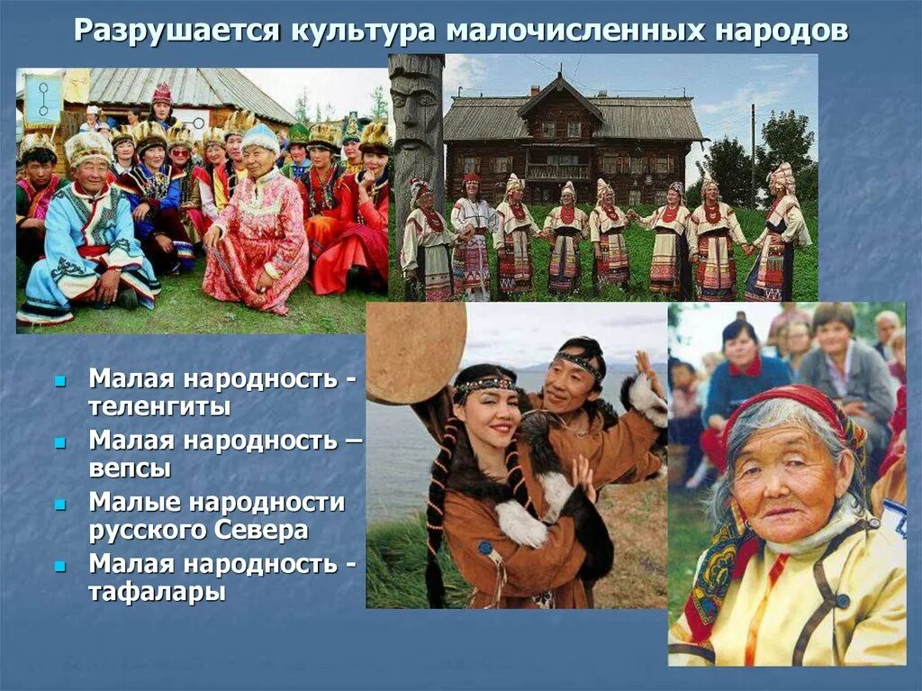 Перечень коренных малочисленных народов. Коренные малочисленные народы. Малые народы. Принадлежность к малочисленным народам. Народы арктики.