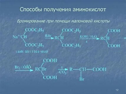 Как получают аминокислоты