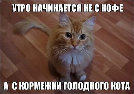 Ну что утро началось