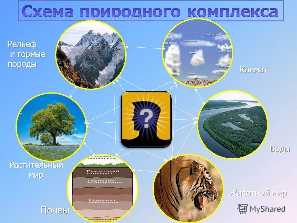 7 компонентов природы. Схема природного комплекса. Схема природного территориального комплекса. Природные компоненты природного комплекса. Природные компоненты схема.