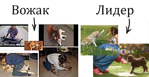 Самый авторитетный член группы:. Лидер вожак зачинщик. Лидер вожак зачинщик. Лидер вожак зачинщик. Лидер вожак зачинщик.