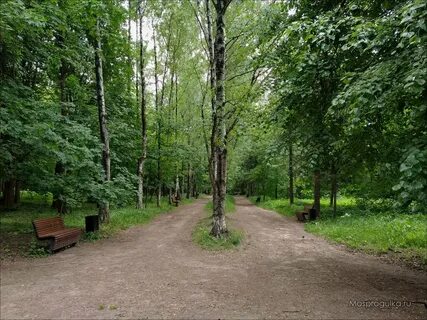 Почему парк