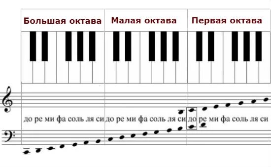 Басовый ключ малая октава. Басовый ключ малой октавы. Басовый ключ пианино малая Октава. Ноты малой октавы в басовом Ключе. Ноты в басовом Ключе большая и малая октавы.