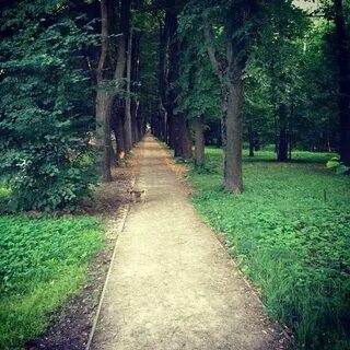 Пастернак аллея