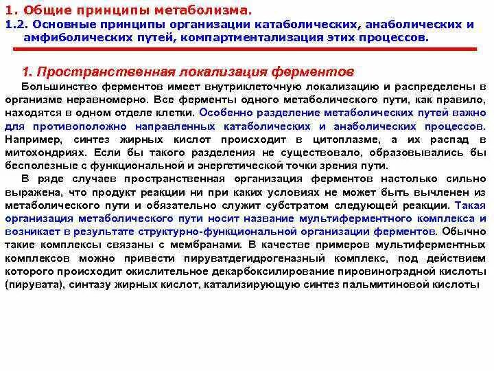 По метаболическому принципу. Принципы регуляции метаболизма. Принципы регуляции обменных процессов. Принципы метаболизма. Биоэнергетика это кратко.