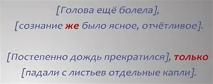 Затылок предложение