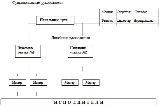 Линейные и функциональные руководители. Функциональная структура начальника цеха. Линейный руководитель и функциональный руководитель. Линейное функциональное структура цеха.