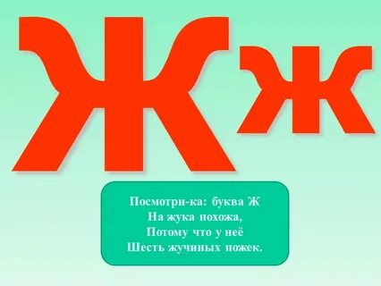 Ж у р в ка