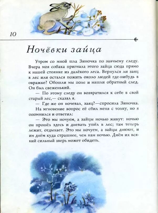 М пришвин ночевка зайца. Ночевки зайца пришвин. Ночевки зайца рассказ. Рассказ м.Пришвина зайцы профессора.