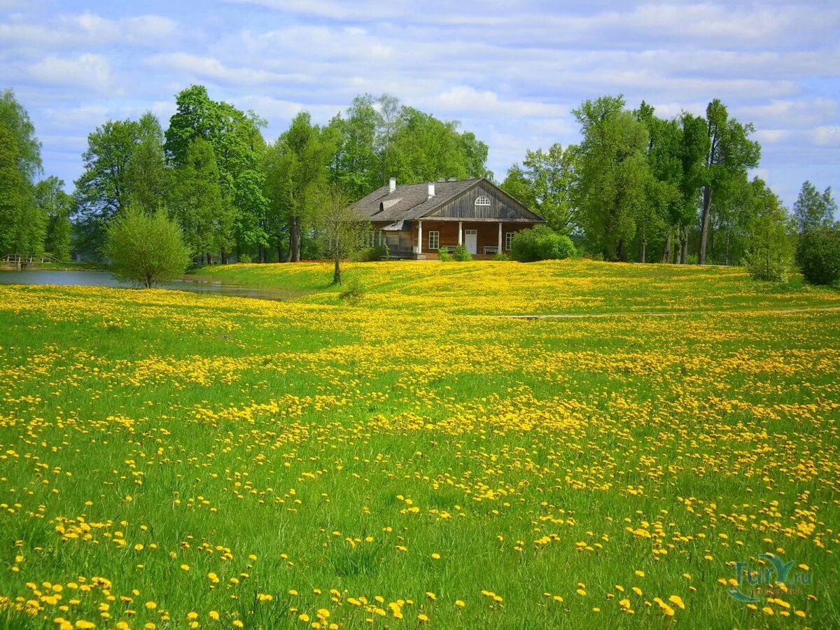 Рассвет в деревне. Лето ы деревне. Лето в деревне. Деревенский пейзаж. Лето вечер деревня моша.