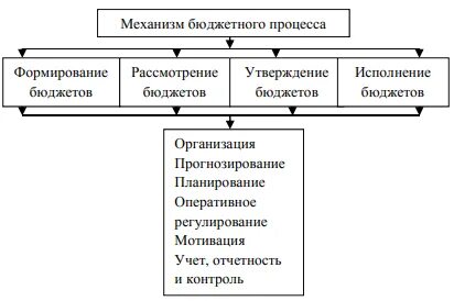 Институты бюджетной системы
