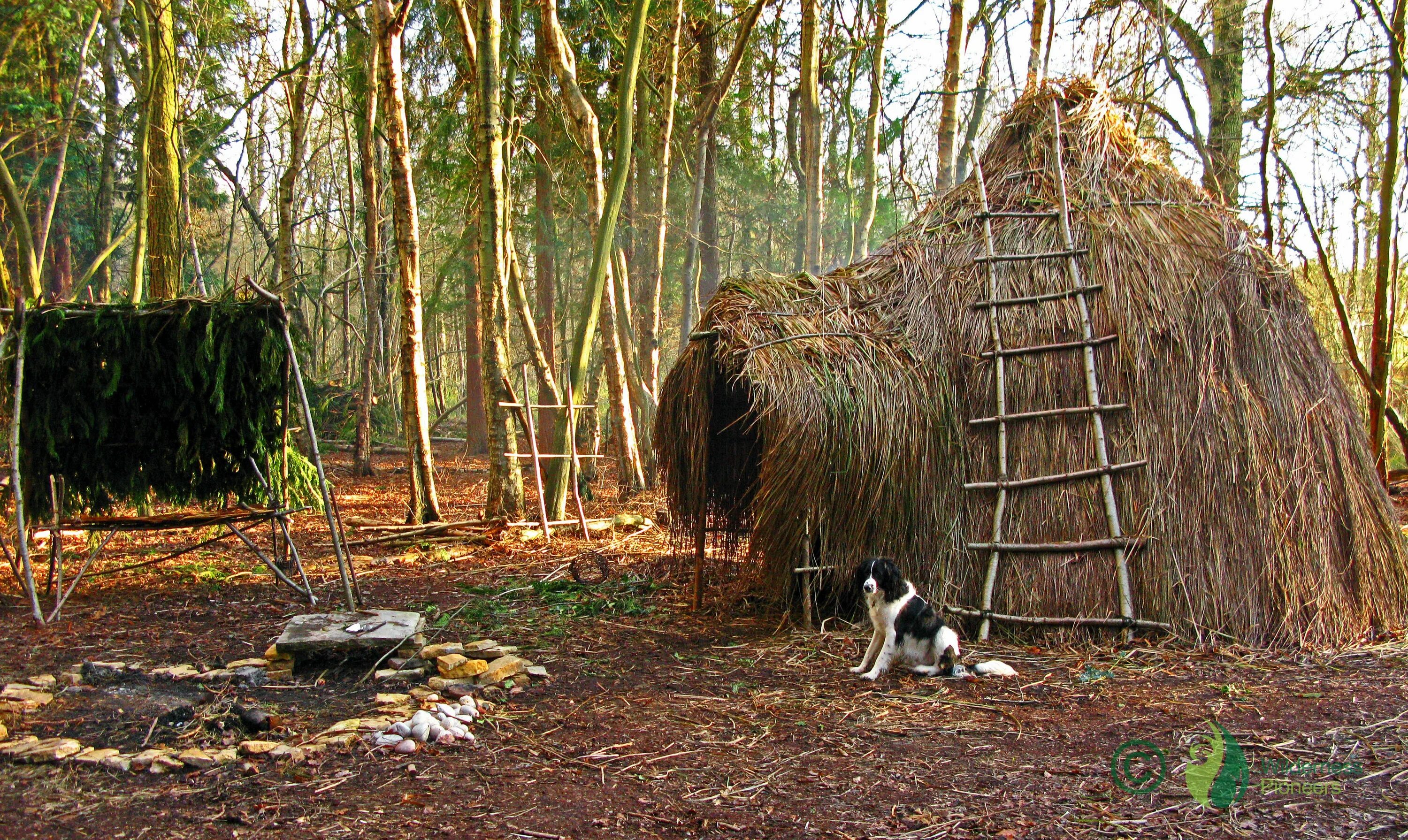 New age camp