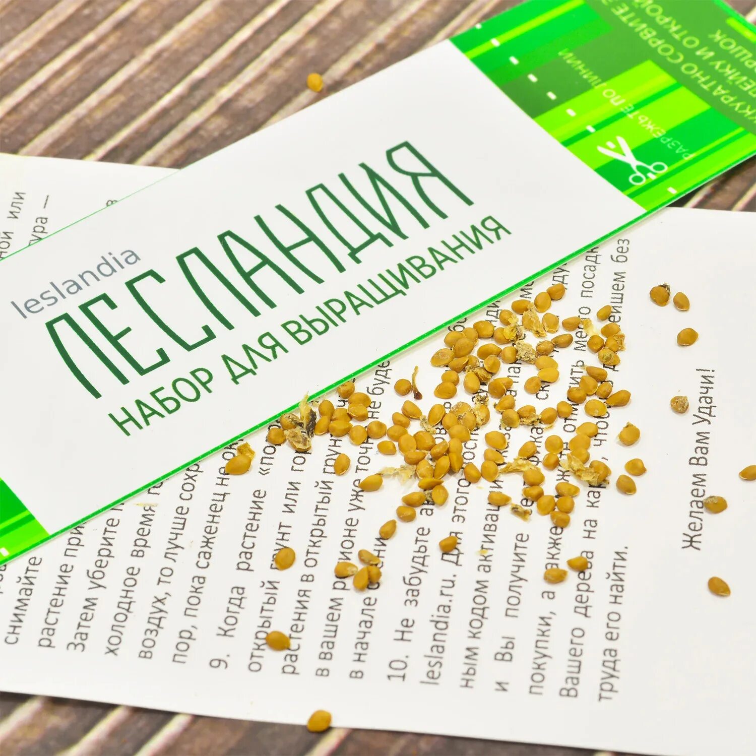 Лесландия семена. Лесландия семена отзывы. Лимонник китайский лазанг. Лесландия семена отзывы. Ель лесландия.