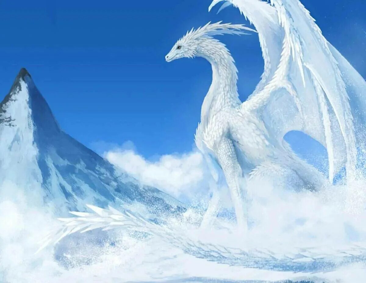 Сноу драгон. Snow dragon. Сэйрю лазурный дракон. Снежный виверн dragon. Сноу драгон.
