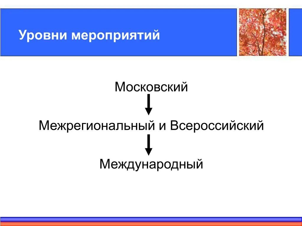 Уровни всероссийский международный. Уровни Международный Всероссийский. Уровни мероприятий. Международный и Всероссийский разница. Всероссийский уровень это федеральный или Международный.