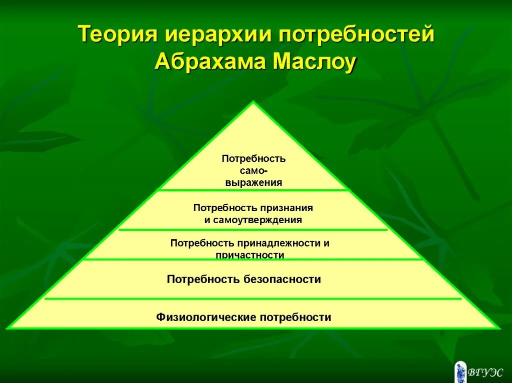 Социальная принадлежность. Признание мотивация. Потребность в самоутверждении. Потребность в самовыражении. Потребность признания и самоутверждения.