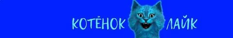 Голубого кота лайка