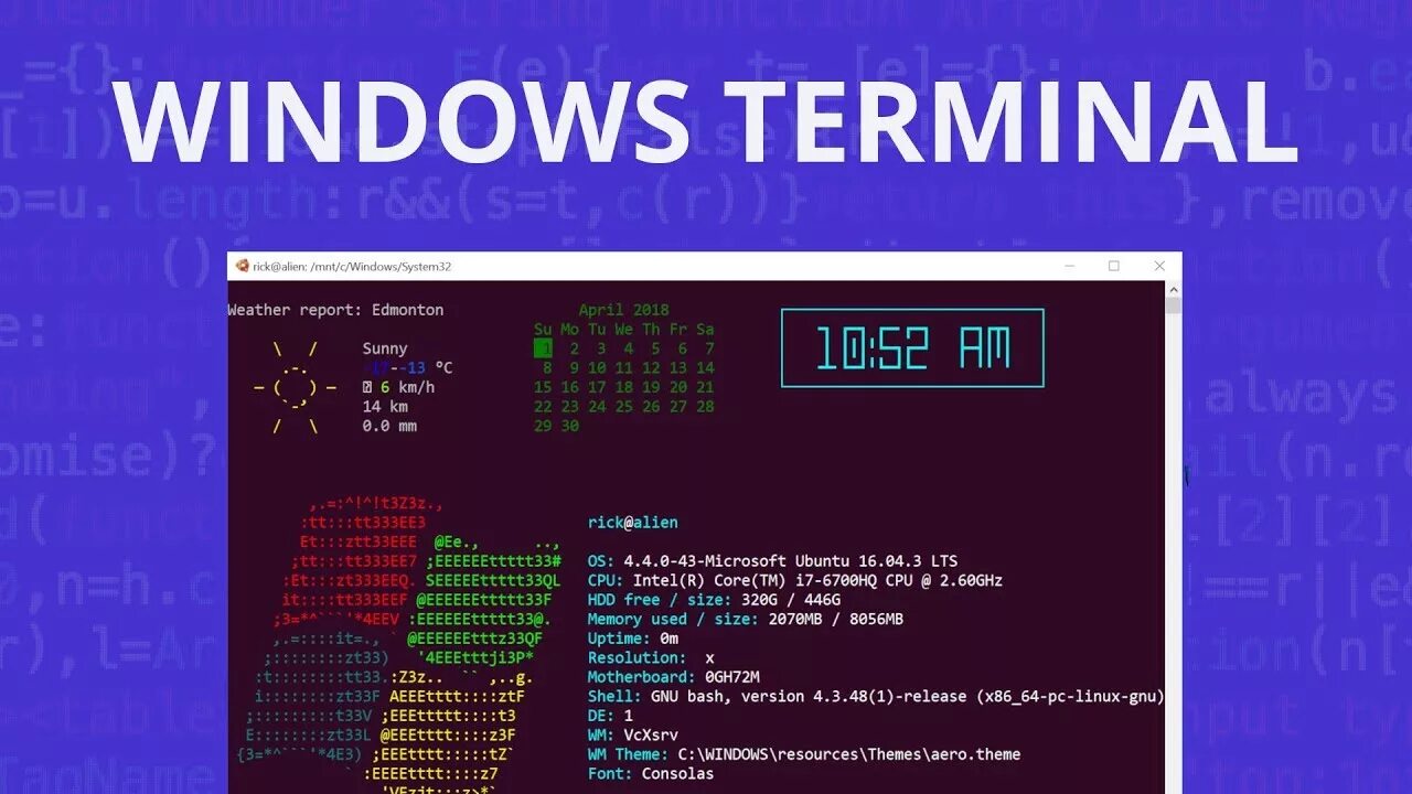 Microsoft terminal