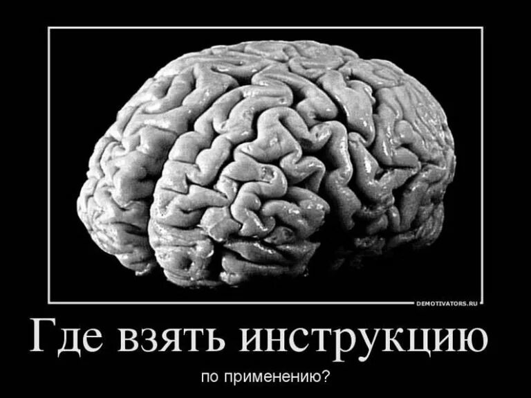 Шутки про мозг. Мозг прикол. Шутки про мозги. Мозг смешной. Шутки про мозги.
