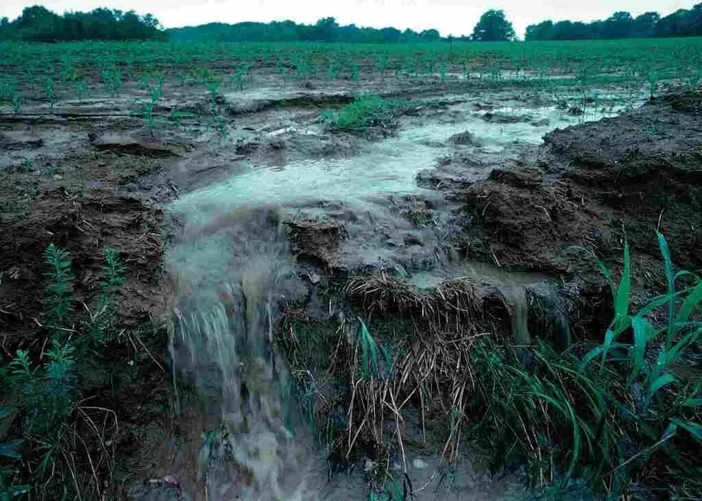 Загрязнение почвы. Вода в почве. Загрязненные почвы. Загрязненные подземные воды. Увлажнение избыточное много болот озер