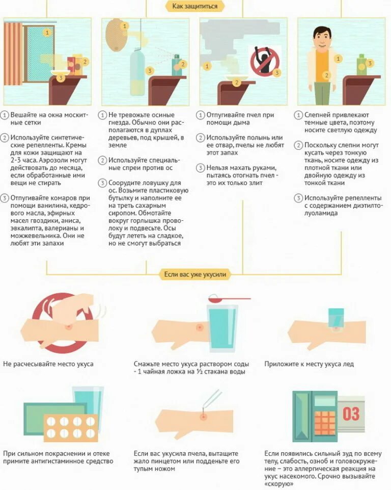 Первая помощь при укусе осы ребенка. Что делать при укусе комара. инфографика помощь при укусе насекомых. первая помощь при укусе комара.