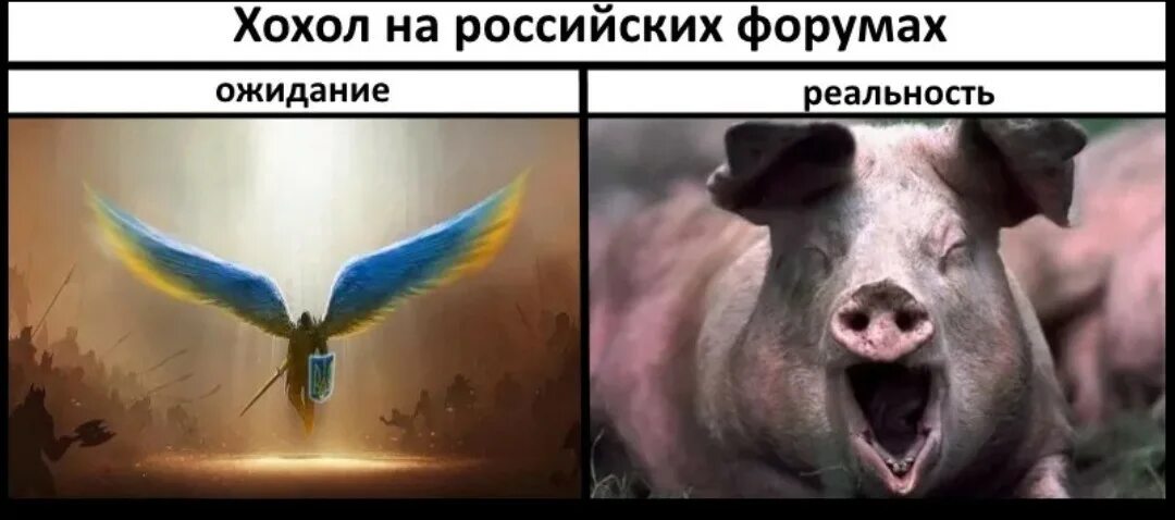 Звук хохлов