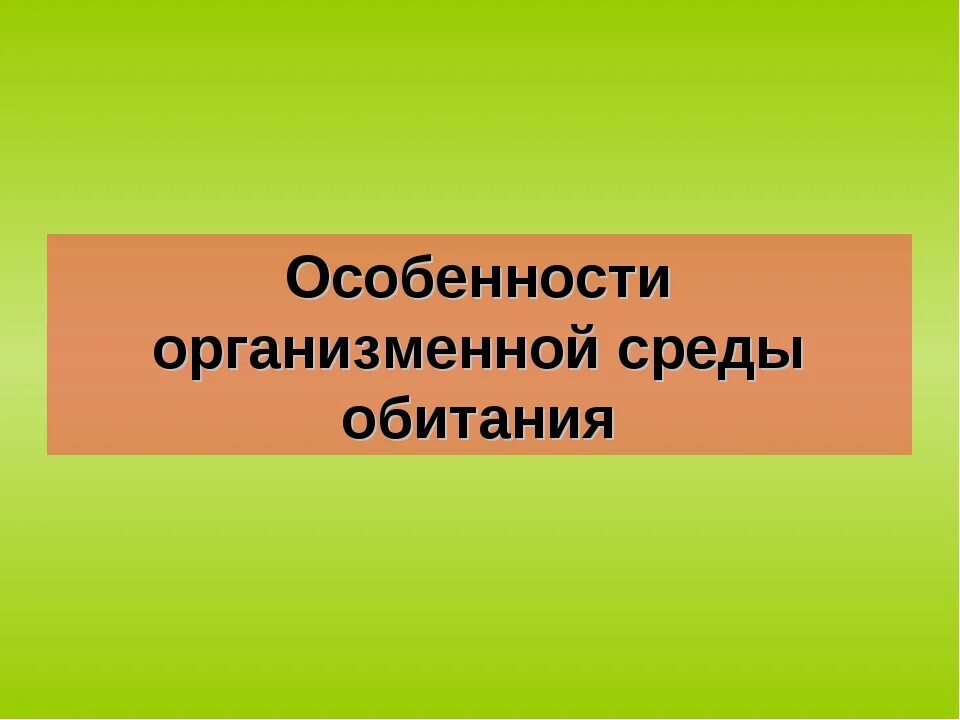 Характеристика организменной среды. Свойства организменной среды. Организменная среда обитания характеристика. Организменная среда обитания приспособления.