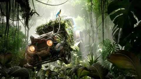 Alok jungle