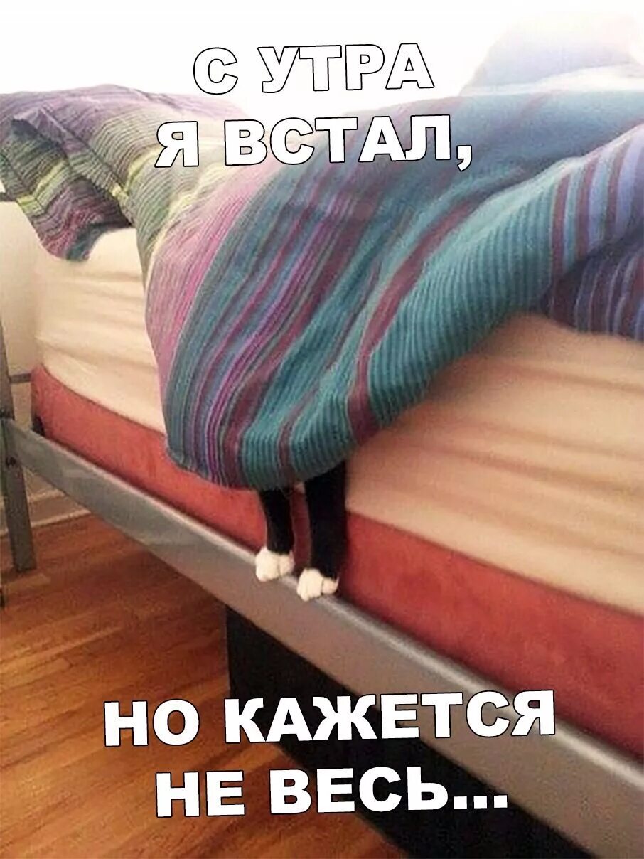Ели встала утром. Утро не проснулась. Еле встала с кровати. Я проснулась картинки. Утро смешное проснулась.