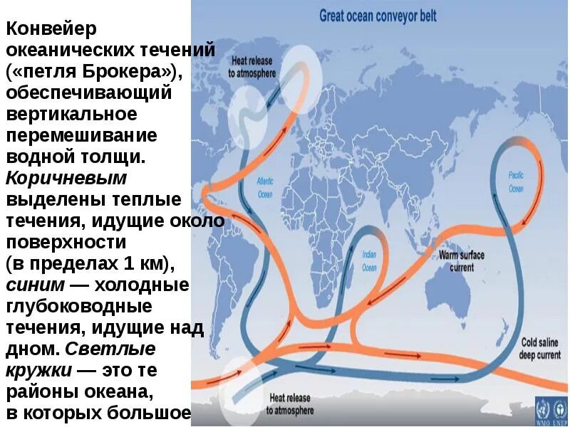 В норильске теплое океаническое течение. Холодные Океанические течения. Теплое и Холодное течение. Теплые течения. Теплые и холодные течения мирового океана.