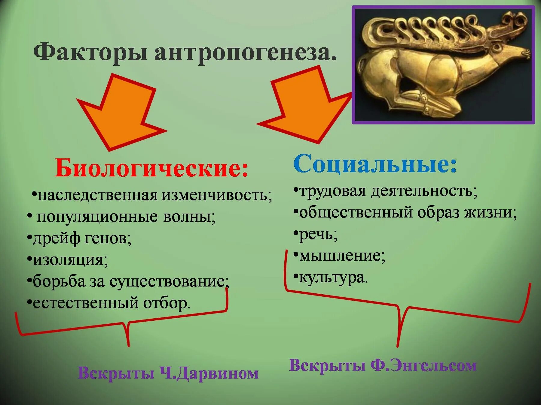 Социальные и биологические факторы жизни. Социально биологические факторы. Биологические и социальные факторы развития. Биологические и социальные факторы эволюции человека. Биологические факторы становления человека.