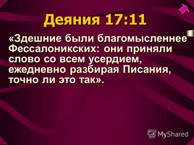 здешние порядки