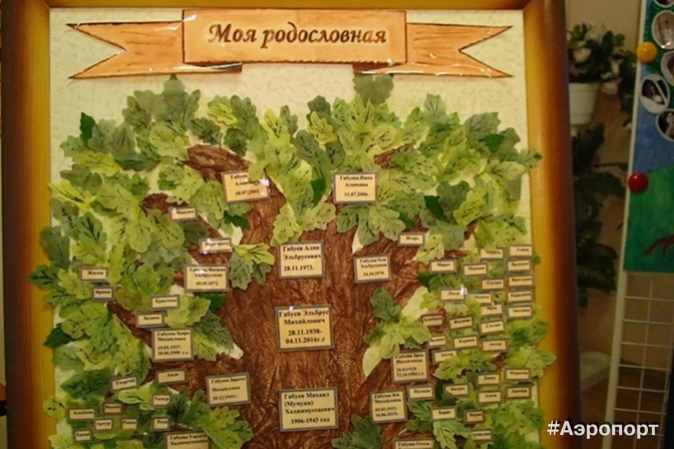 конкурс генеалогическое древо. конкурс мое генеалогическое древо. конкурс моя родословная. конкурс мое генеалогическое древо. генеалогическое древо семьи.