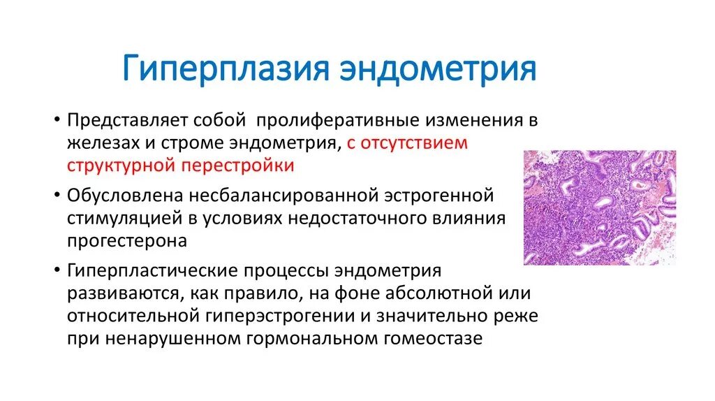 Гиперплазия эндометрия в постменопаузе отзывы. Атипическая гиперплазия эндометрия терапия. Гиперплазия эндометрия , внутреннего эндометриоза. Гиперплазия эндометрия клинические рекомендации 2022. Железистая гиперплазия гистология.