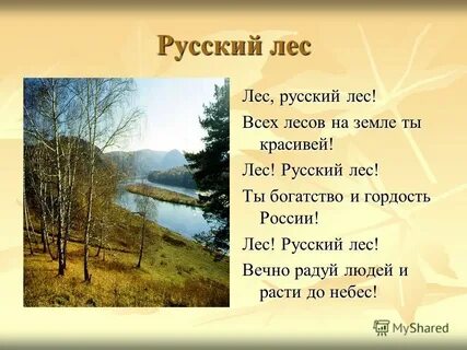 Русский лес 4 класс