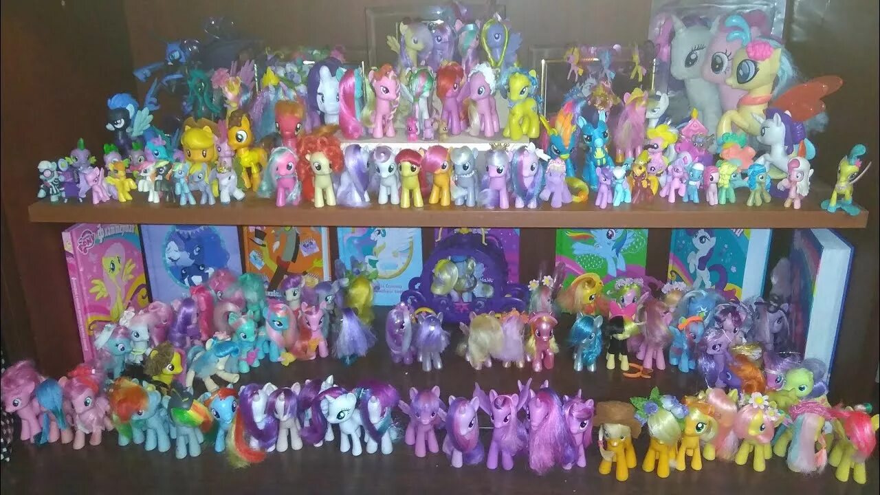 Коллекция пони. Коллекция мой маленький пони. Самая большая коллекция пони. Самая большая коллекция пони в мире.