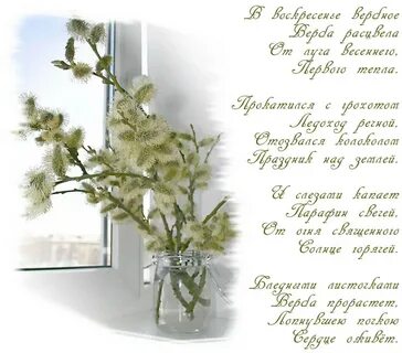 Дерево с именным воскресеньем