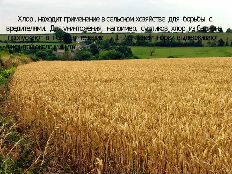 Как разумнее использовать сельскую местность. Как разумнее использовать сельскую местность