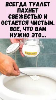 Запах туалетной