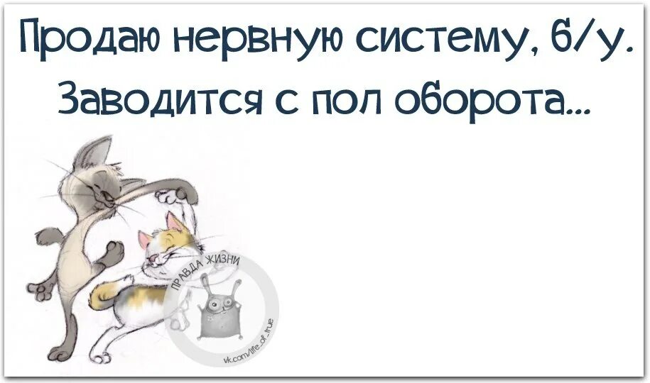 На эту тему портит нервную систему. Афоризмы про нервную систему. высказывания про нервную систему. высказывания про нервы. цитаты про нервную систему.